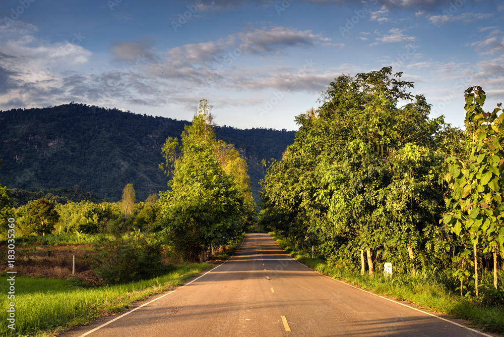 Obraz premium The way to the village with nature along the way.