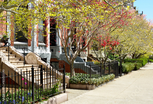 Back Bay Boston Gardens in Early Spring photo