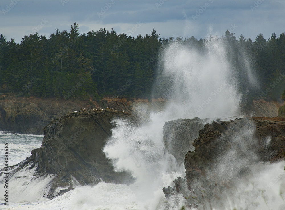 Obraz premium Surf bBreaking on Rocks at Cape Aragp, Oregon