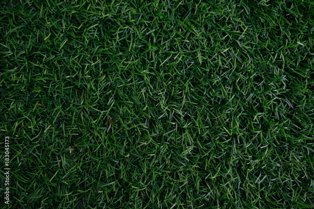 Field of fresh green lawn grass texture natural background . Field of fresh green lawn grass texture natural background .