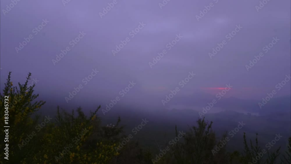 Foggy Sunrise Foggy Sunrise