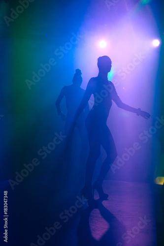 Silhouette of go go dancer. Dance show at night club with colorful lights show. Performance show during night party.