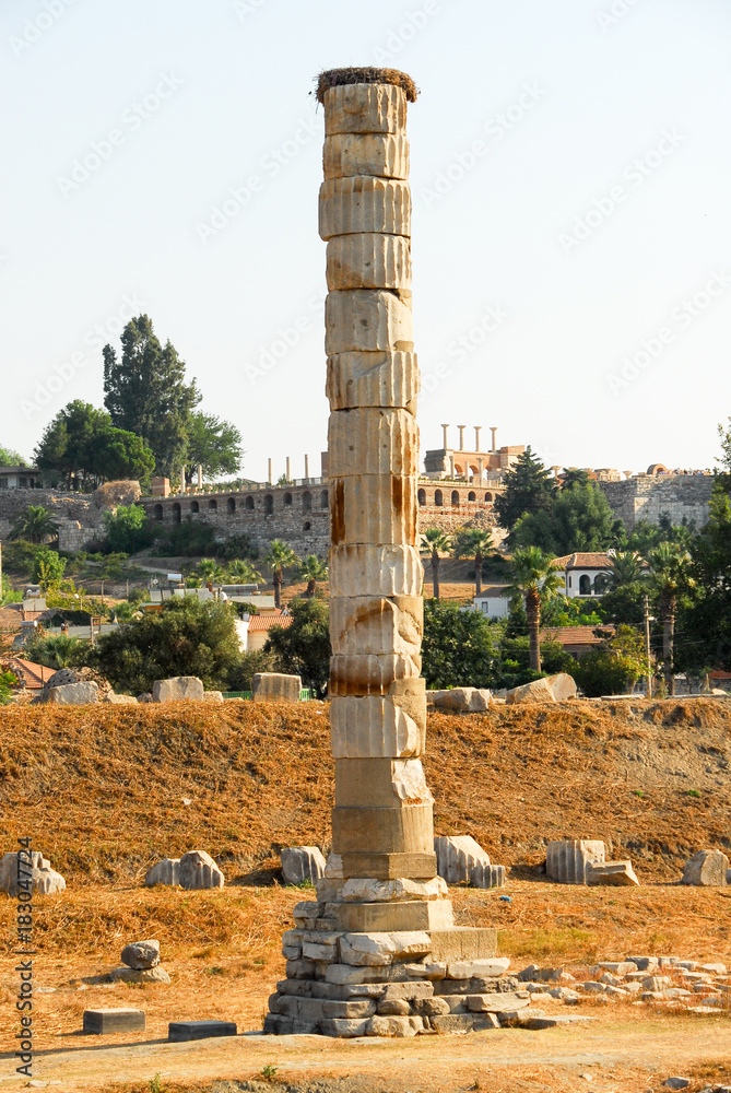 Temple of Artemis - Selcuk, Turkey
