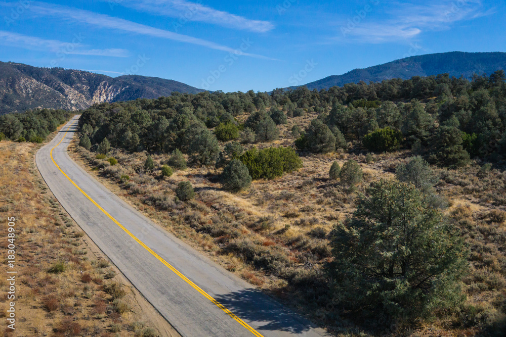 Asphalt road bends into a wood of evergreen trees in southern California's Los Padres National Forest.
