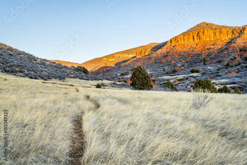 cattle trail at Red Mountain Open Space