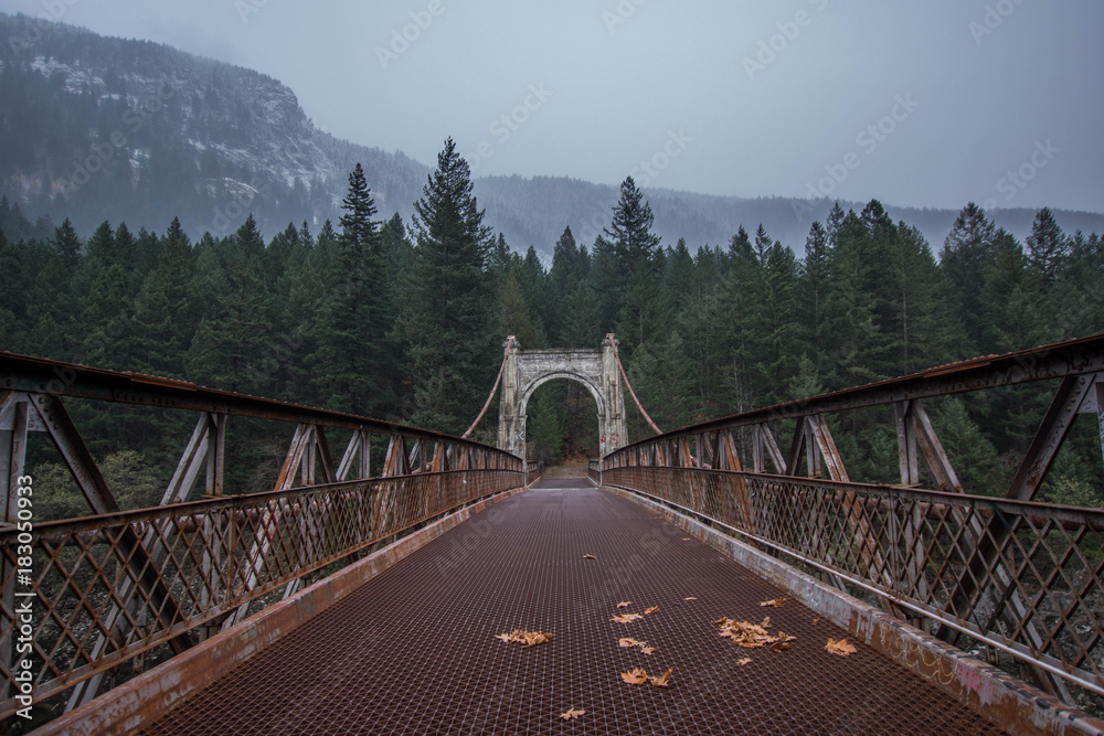 Obraz premium Alexandra Bridge