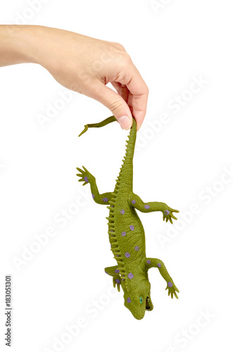 Silicone toy iguana in hand isolated on white background. Exotic animal game.