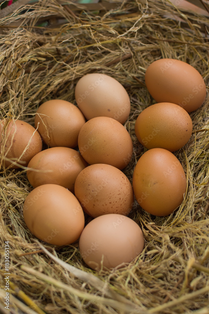 Eggs