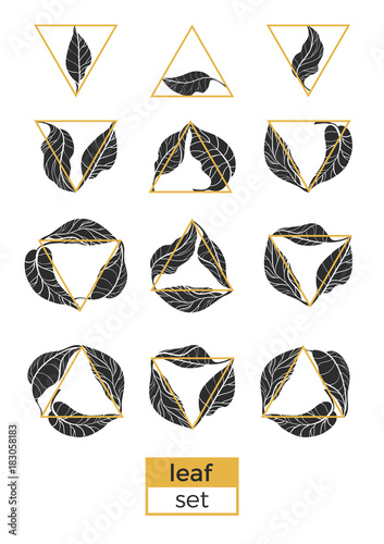 Modern set of leaves and triangles. Vector design...
