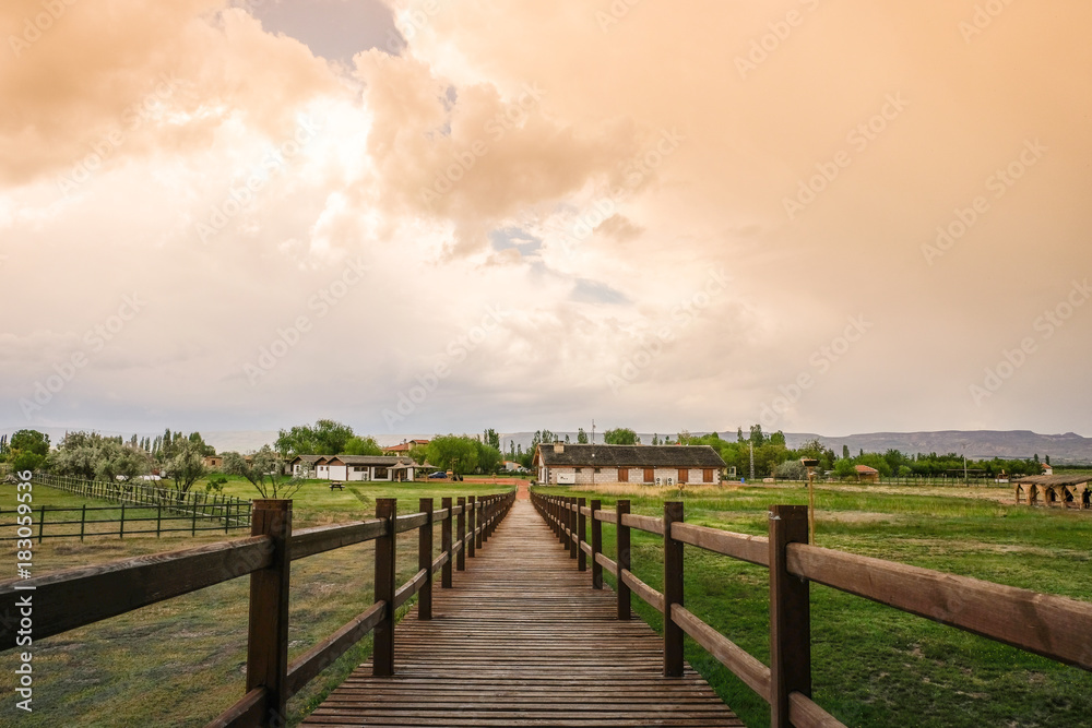 Tobacco Color Sky and Farm Walkway