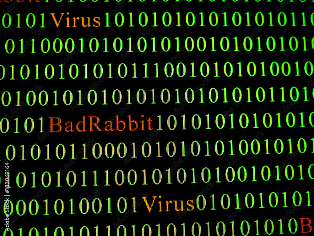 Concept of security and virus and Bad Rabbit Ransomware. Red text of Bad Rabbit and green binary code. Concept of security and virus and Bad Rabbit Ransomware. Red text of Bad Rabbit and green binary code.