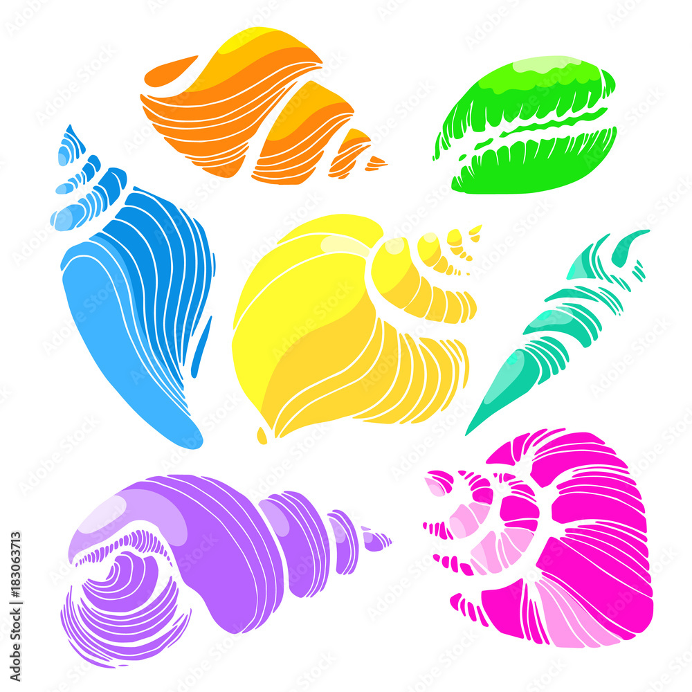 Obraz premium Color set with shapes of sea shells on white background. Vector
