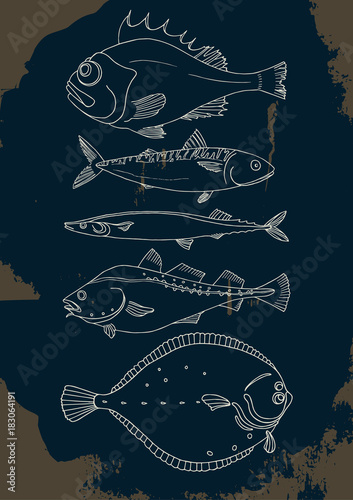 Set of sea fish. Vector doodle.