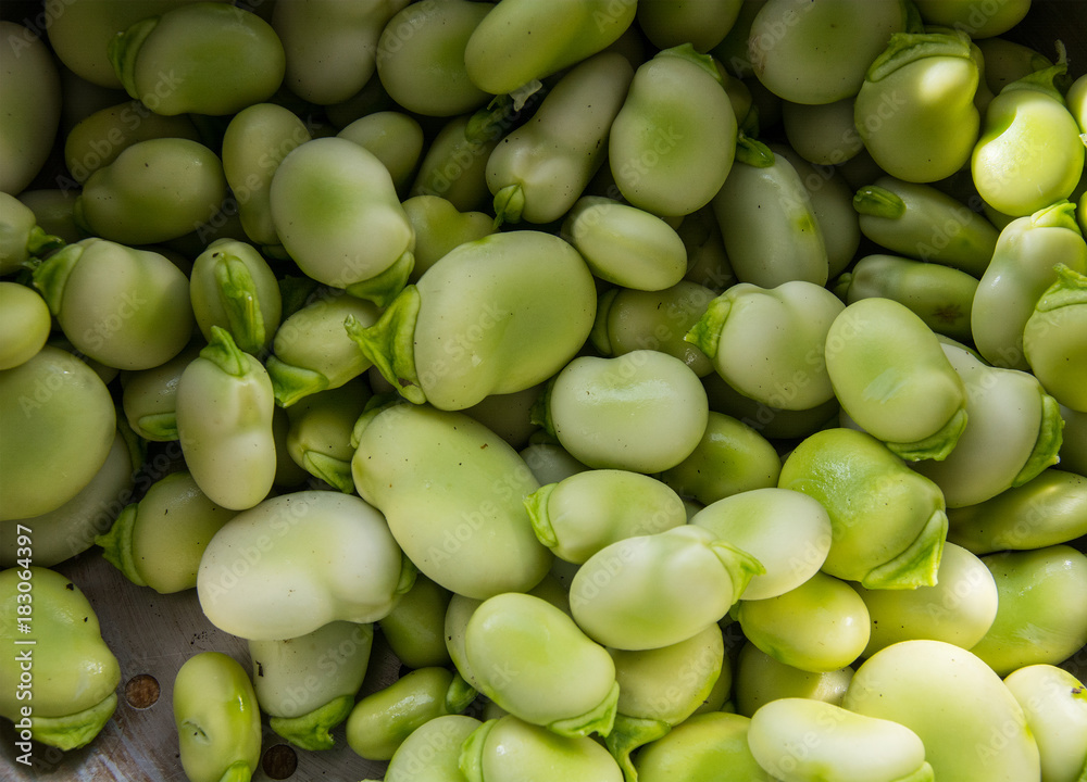 Broad Beans Broad Beans