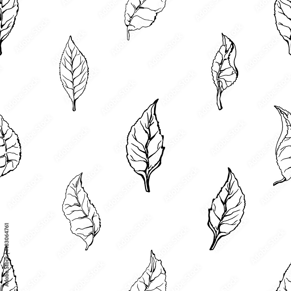 Seamless pattern of leaves of tea bush on white background. Vector sketch.