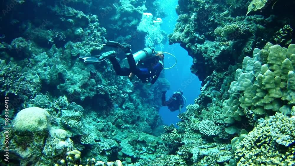 Scuba diving - Two divers in a coral reef