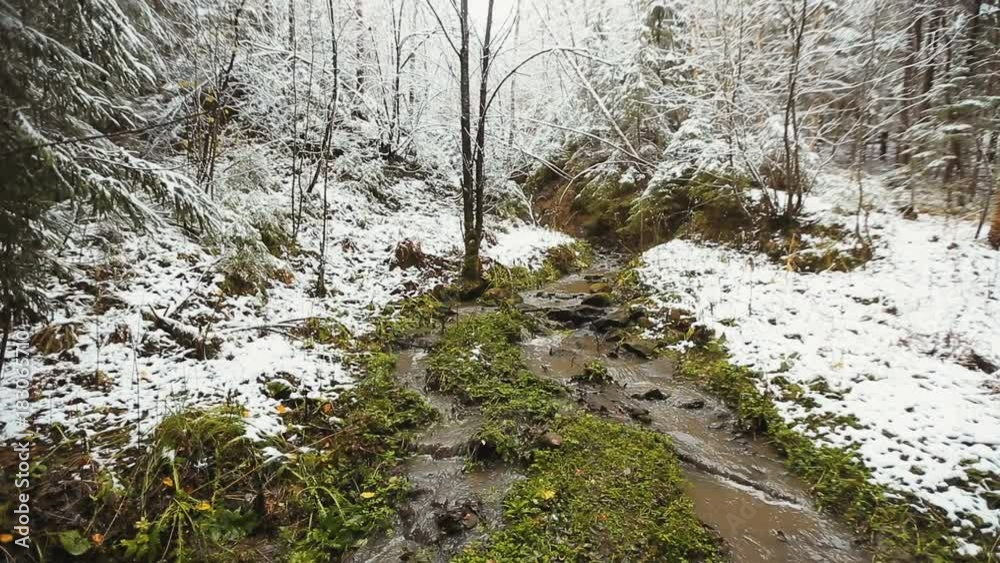 small river in the forest covered with the first snow small river in the forest covered with the first snow