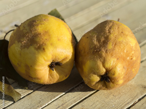 Yellow quince lies on a wooden table photo