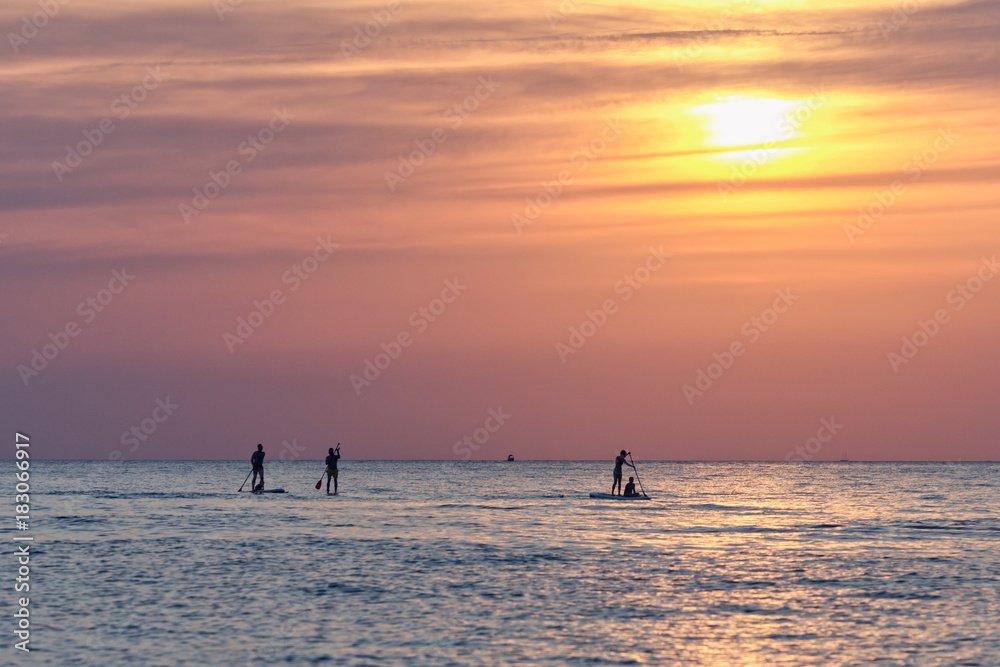 Stand Up Paddling. Silhouette at sunset.