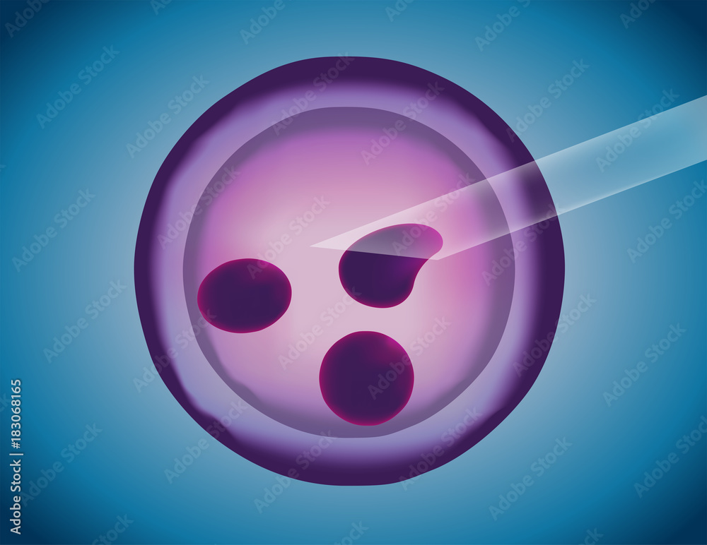stem cell , artificial insemination vector stem cell , artificial insemination vector