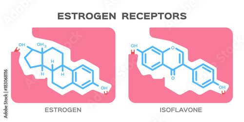 estrogen and Phytoestrogens of isoflavone receptors