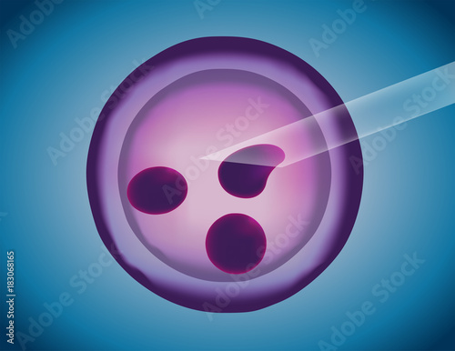 stem cell , artificial insemination vector