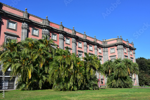 Napoli.  Reggia di Capodimonte, costruita a partire dal 1738 per volere di Re Carlo di Borbone, è un palazzo reale, con annesso un parco. Fu la residenza storica dei Borbone di Napoli. 