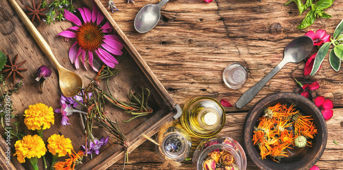 Photography Herbal medicinal herbs and plant