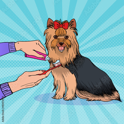 Pop Art Female Hand Holding Toothbrush with Toothpaste. Brushing Teeth Yorkshire Terrier. Pet Healt Care. Vector illustration