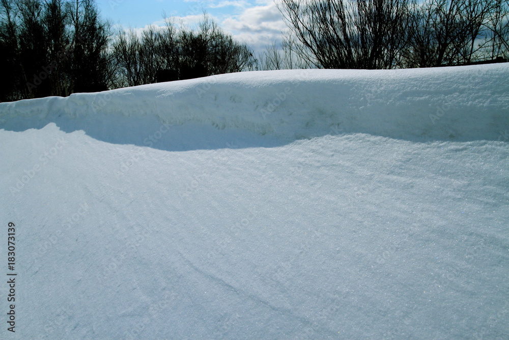 Obraz premium Sapporo winter landscape