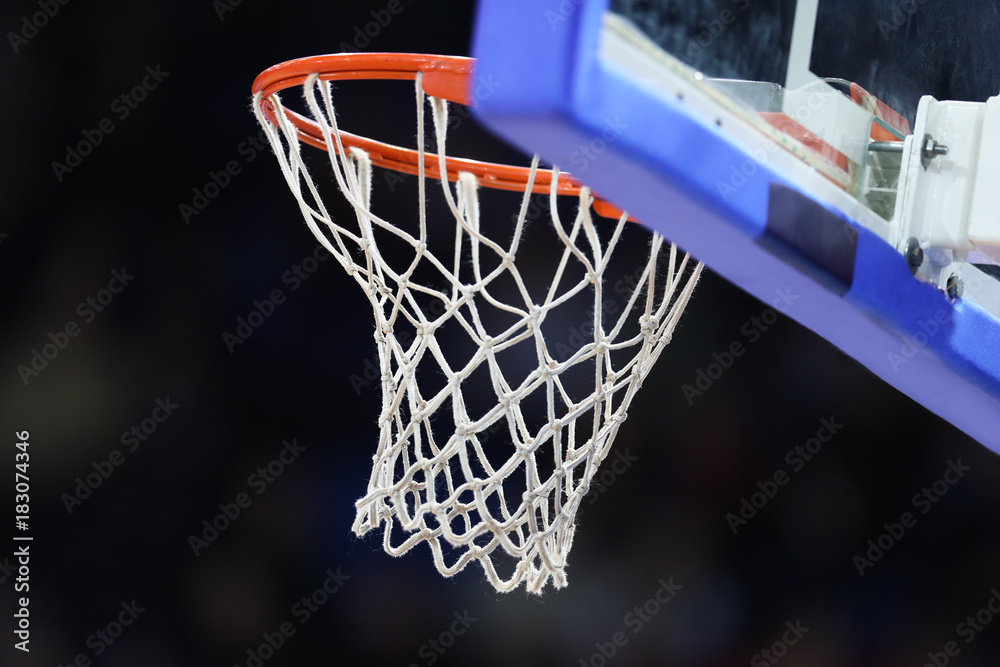 Basketball ring with net