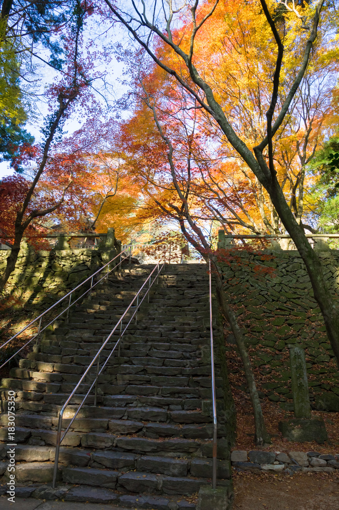 四国第八十二番札所根香寺の紅葉 四国第八十二番札所根香寺の紅葉