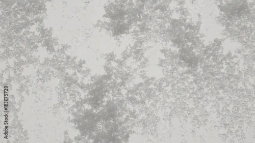 Wallpaper Mural Falling snow on the glass, Time lapse FullHD video 1080p Torontodigital.ca