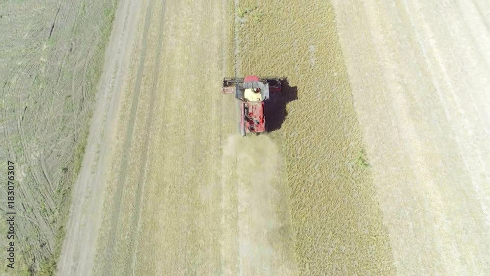 Flight over harvester soybean field top aerial view 4k video. Harvest agriculture farm rural landscape. Legume farming production: combine crops soya bean plant Flight over harvester soybean field top aerial view 4k video. Harvest agriculture farm rural landscape. Legume farming production: combine crops soya bean plant