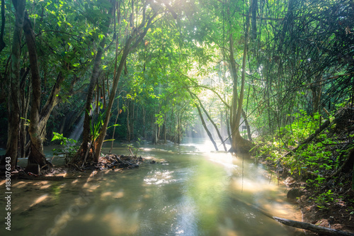 Fototapeta Naklejka Na Ścianę i Meble -  Sunlight shine in waterfall tropical rainforest