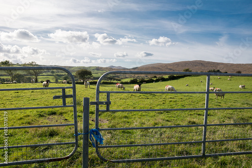 Wild Atlantic Way, Sheep's Head Peninsular photo