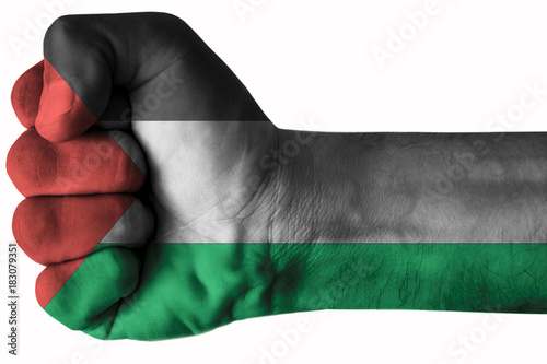 Fist painted in colors of Palestine flag, fist flag, country of Palestine