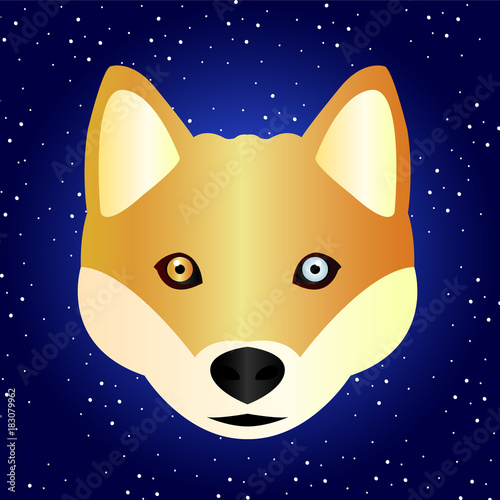 A sketch of a beautiful hussy dog with different eyes on a blue gradient background with a snowy pattern. 2018 is the year of the yellow dog