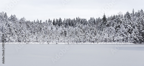 Beautiful first snow in the pond in Finland in December photo