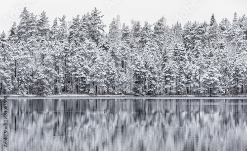 Beautiful first snow in the pond in Finland in December photo