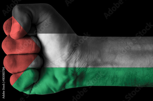 Fist painted in colors of Palestine flag, fist flag, country of Palestine