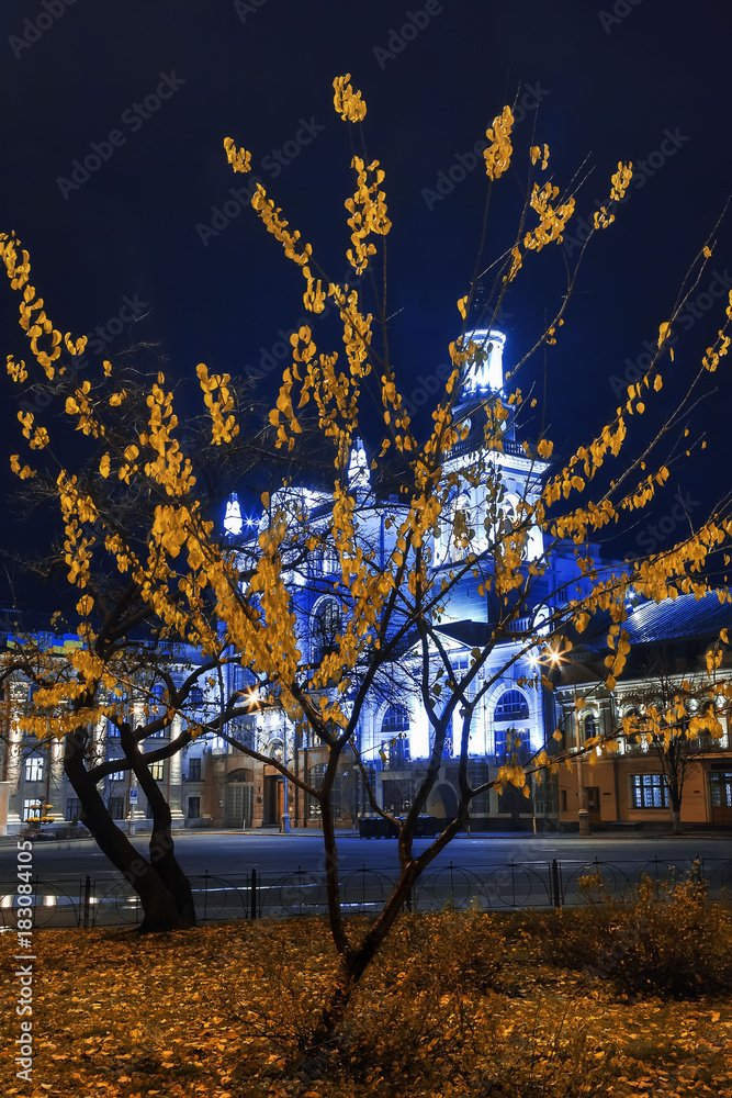 Fototapeta premium yellow tree at night