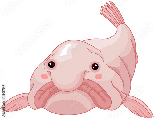 Blob Fish