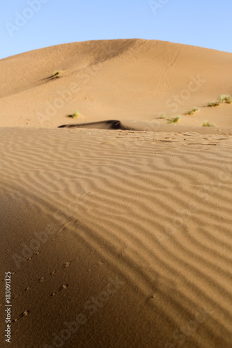 Le Maroc