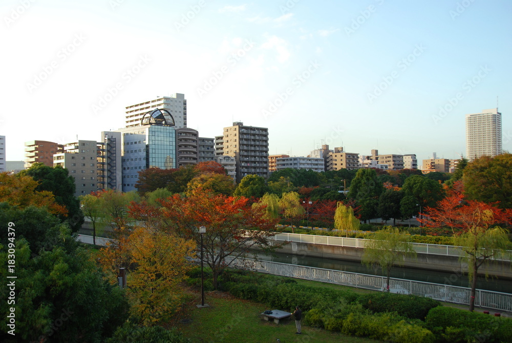 Obraz premium Kiba park in autumn colors, Tomioka distric of Tokyo
