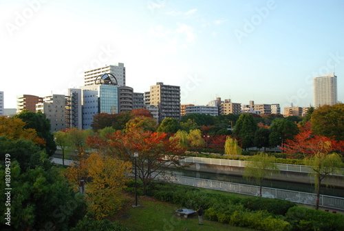 Kiba park in autumn colors  Tomioka distric of Tokyo