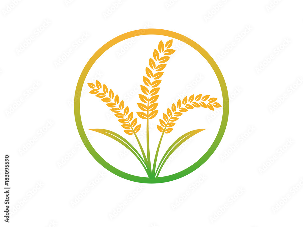 wheat seed food bakery logo