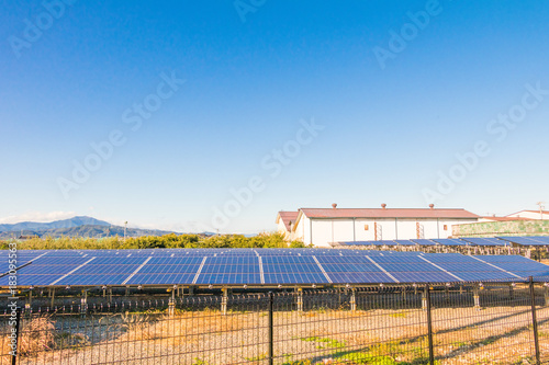 Wallpaper Mural Solar power panels ,Photovoltaic modules for innovation green energy for life with blue sky background. Torontodigital.ca