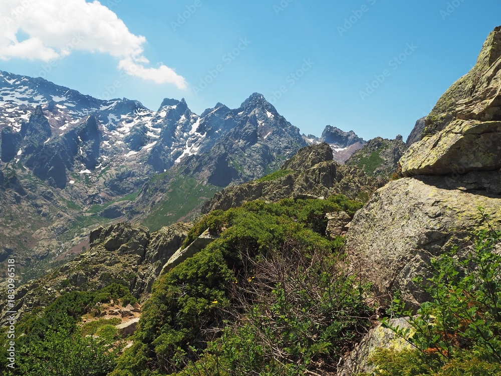 summer scenery of high snow covered mountain peaks on corsician alpes with pine trees, green bushes and blue sky background