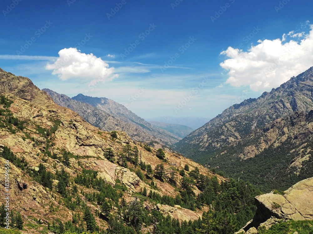 scenery of high mountain on corsician alpes with pine trees, green bushes and blue sky background